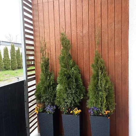 Apartment Wakacyjny Podczele