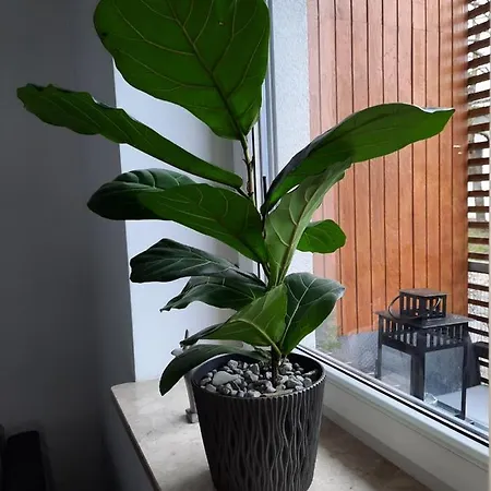 Appartement Wakacyjny Podczele *