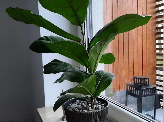 Lejlighed Wakacyjny Podczele *