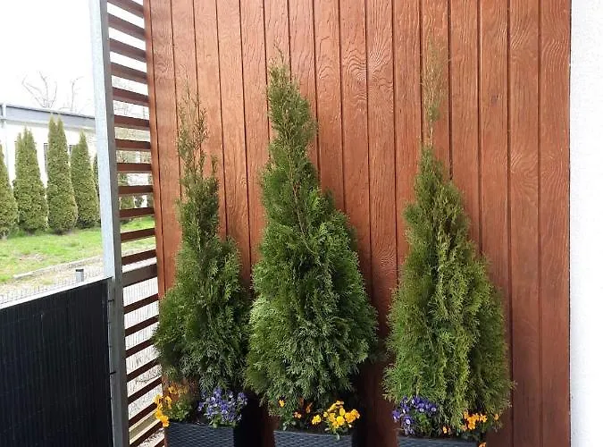 Lejlighed Wakacyjny Podczele